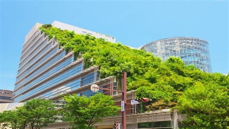 图片1 图片1