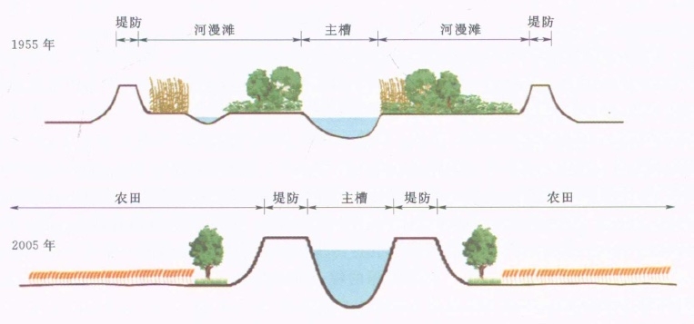 image18 image18