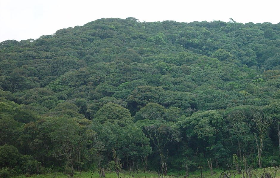 image10 image10