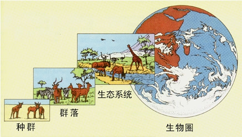 生物圈示意图