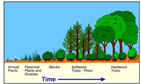 image7 image7