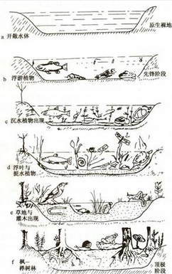 image8 image8