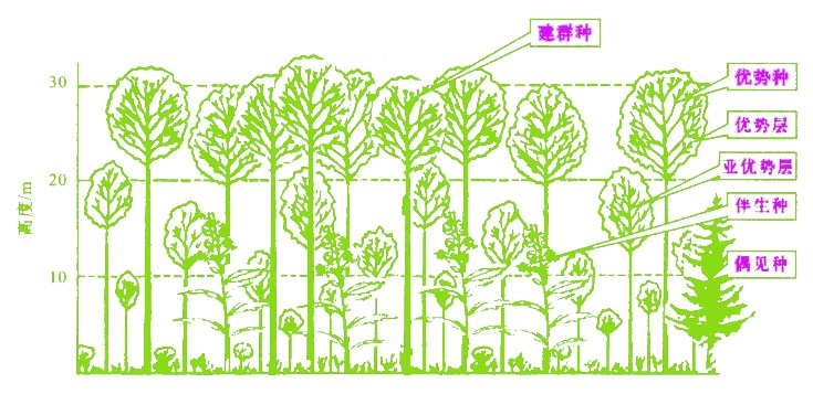 image3 image3