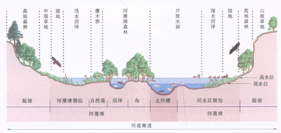 河流的横断面形态