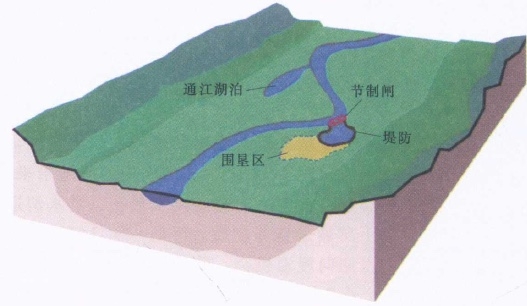 image19 image19