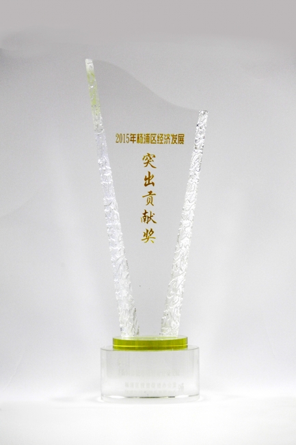 201601-2015年杨浦区经济发展突出贡献奖
