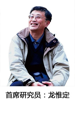 龙惟定1