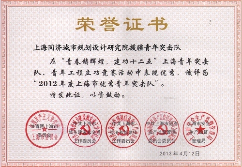 2012年度上海市优秀青年突击队